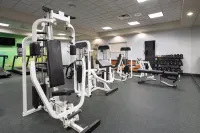 Holiday Inn & Suites GOODYEAR - WEST PHOENIX AREA by IHG - Kuntosalit