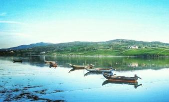 a serene landscape of a lake with several boats floating on the water and mountains in the background at Ocean Villa