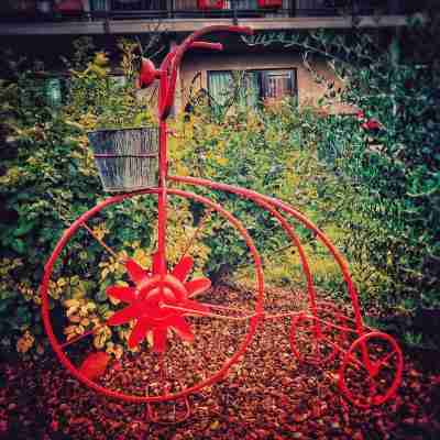 アラベラ ホテル セドナ Hotel Exterior