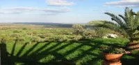 Fattoria Terra e Libertà - Mountain view
