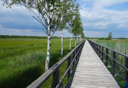 5. 호텔 무른 오크..