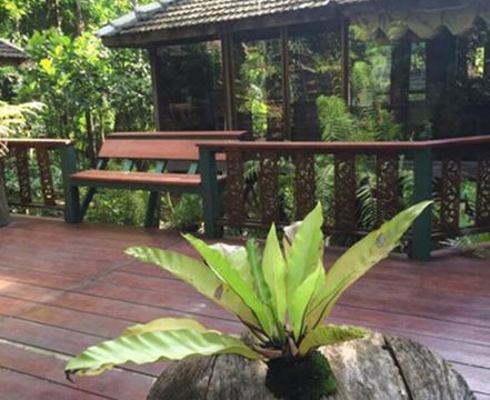 5. 펀 파라다이스..