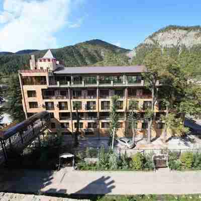 Borjomi Palace Health & Spa Center Hotel Exterior