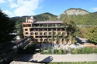 Borjomi Palace Health & Spa Center