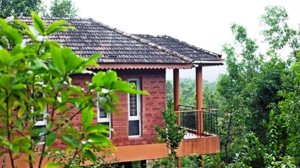 Palette - Sharavathi Adventure Camp Jungle Lodges