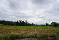 The Wes Village, Incl Breakfast and Dinner