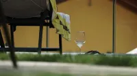 Agriturismo Acinatico Wine Relais Hôtels à : Fumane