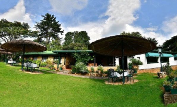 Pine Tree Inn - Housity