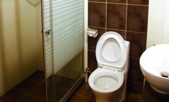 a white toilet is in a bathroom next to a shower with glass doors and brown tiled walls at Royal Hotel