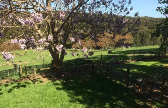 埃莫拉爾德嶺住宿加早餐旅館