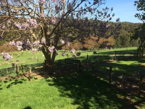 Emerald Ridge Hotels in Emerald