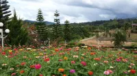 Khaokho Nature View Resort