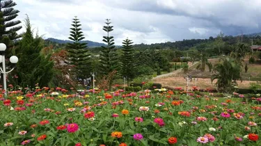 รูปภาพของKhaokho Nature View Resort