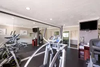 Best Western Mountain View Inn - salle de sport