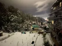 Happy Stay Home Stay