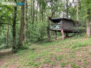 Unique Off Grid Tree-House Stay in Oak Woodland