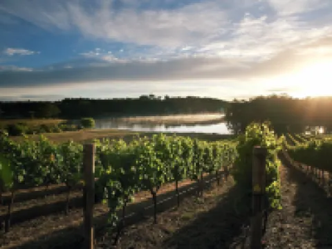 Vintages Accommodation Hotel a Margaret River