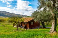 Quinta do Quinto - Turismo de Habitação Hotels in Cavadoude