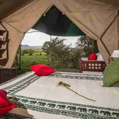 Losokwan Luxury Tented Camp - Maasai Mara Rooms