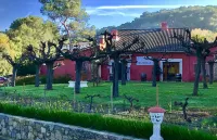 Les Pins Blancs en Provence