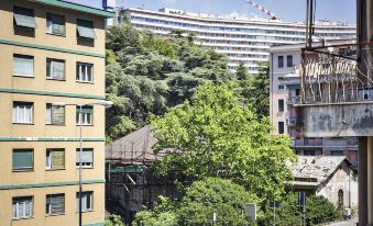 The Greenhouse a San Martino