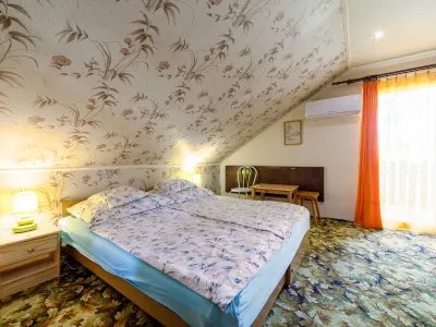 Mathias Rex Hotels in 