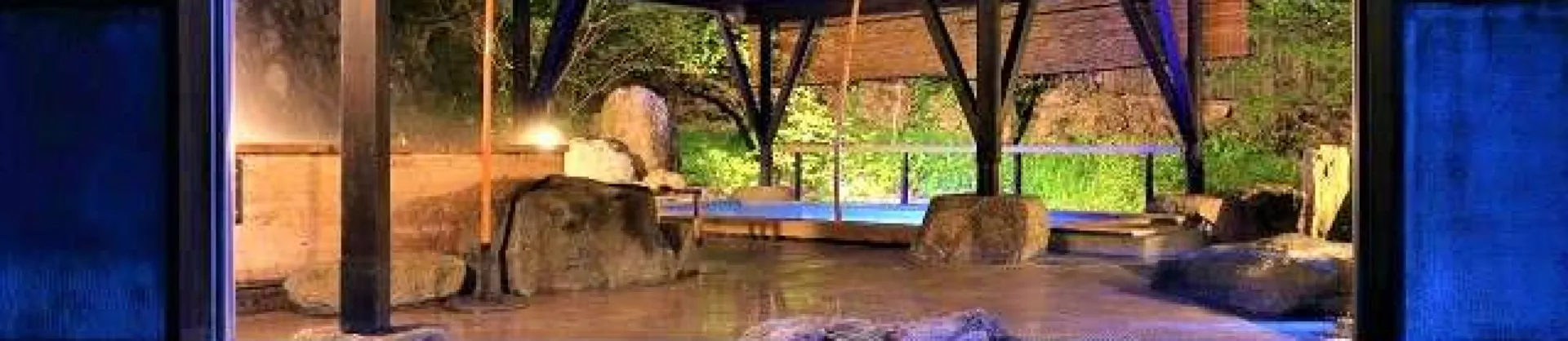 Gehobene Hotels 