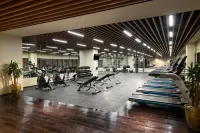 Hilton Clark Sun Valley Resort - Gym