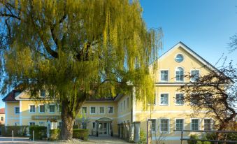 a large tree in front of a yellow building with a circular window on the roof at Akzent Hotel Aufkirchen