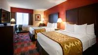 Best Western Dallas Inn  Suites