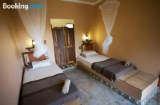 Sasa Safari Camp & Tours فنادق في 