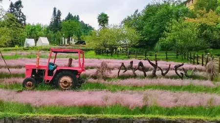 Tengchong Mayu Valley Time Hot Spring Bed and Breakfast Отели рядом с достопримечательностью «Mayu Valley Hot Spring Town»