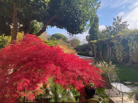 Le Rez de Jardin Albi - Maison d'hôtes