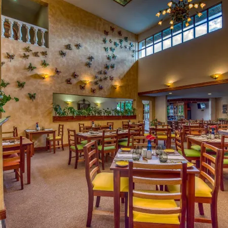 Buena Vista Chic Hotel