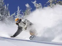 Hampton Inn & Suites Denver/Highlands Ranch Hotels in Ken Caryl