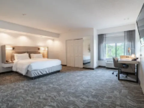 スプリングヒル スイーツ バイ マリオット ゲインズビル ゲーンズビルのホテル