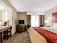 Comfort Inn & Suites Airport