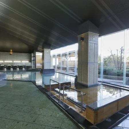 Hotel Shion