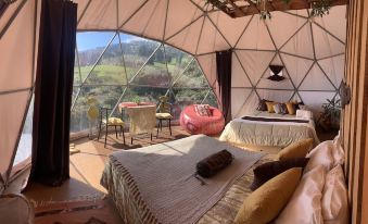 Poas Volcano Observatory Lodge & Glamping