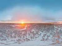Kevätpiippo b