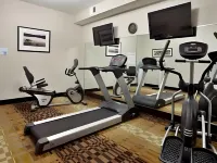 Holiday Inn Express & Suites CUT OFF - GALLIANO by IHG - Gym