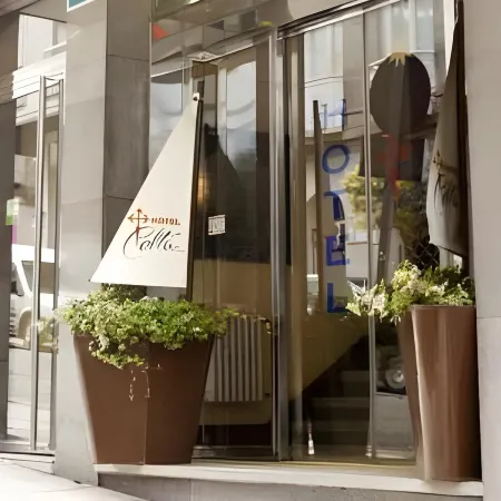 Hotel Celta