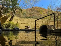 유비소 온천 호텔 유노진 Tanigawadakeonsen Yubukinoyu Auto Camping Ground 주변 호텔