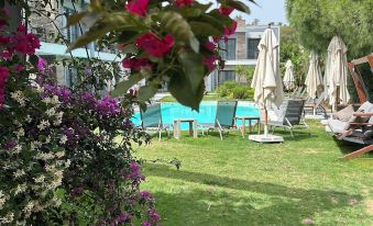 The Search Hotels Bodrum