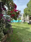 The Search Hotels Bodrum