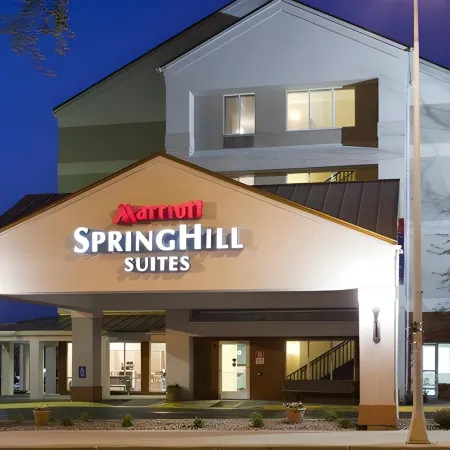 SpringHill Suites Rochester Mayo Clinic Area/Saint Marys