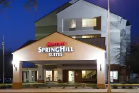 SpringHill Suites Rochester Mayo Clinic Area/Saint Marys - С бассейном