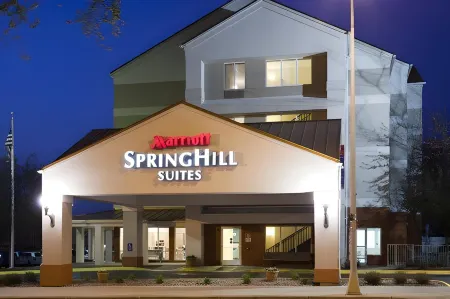 SpringHill Suites Rochester Mayo Clinic Area/Saint Marys