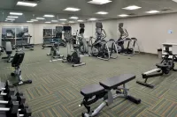 Holiday Inn Express & Suites WYLIE WEST by IHG - ジム