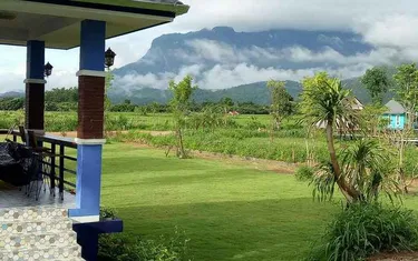 รูปภาพของบ้านทุ่งทะเลหมอกเชียงดาว